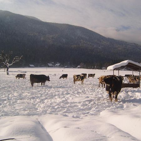 Farmhouse Soklic Bohinj Esterno foto