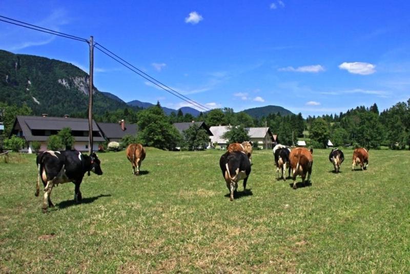 Farmhouse Soklic Bohinj Esterno foto