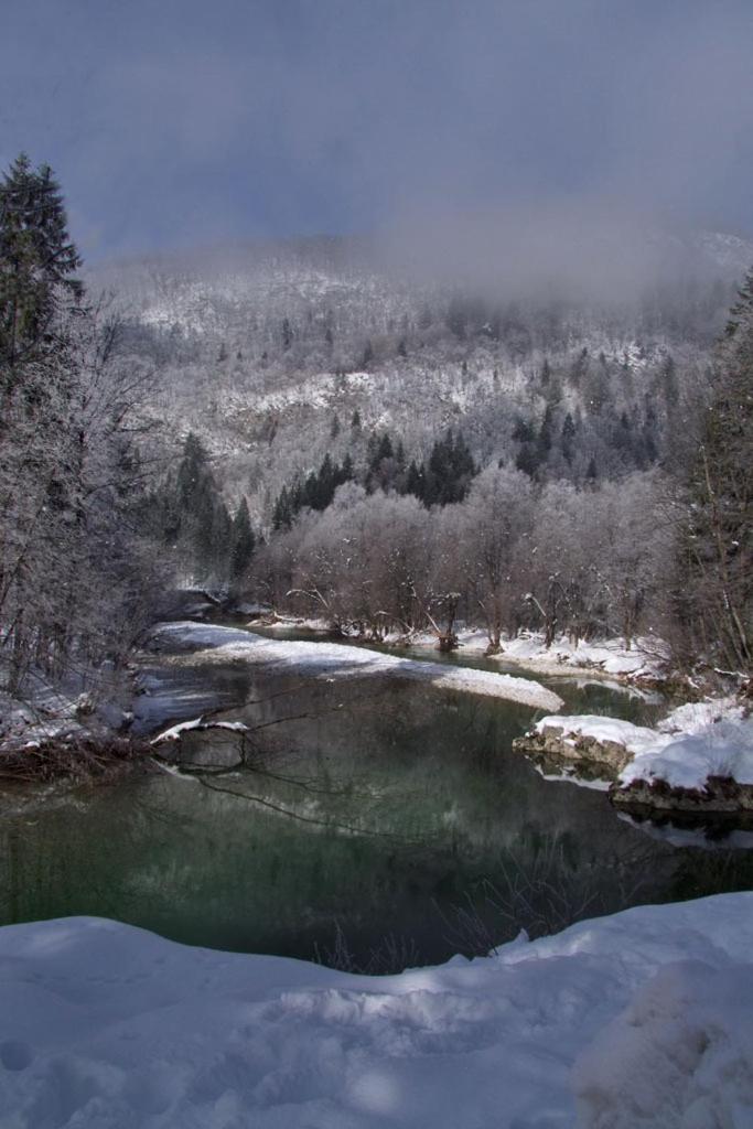 Farmhouse Soklic Bohinj Esterno foto