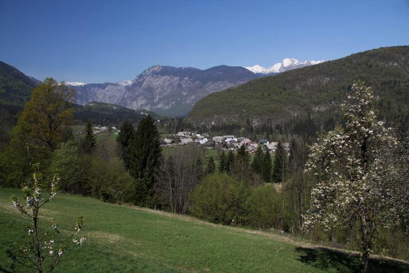 Farmhouse Soklic Bohinj Esterno foto
