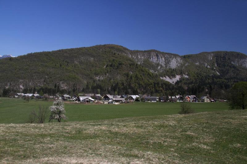 Farmhouse Soklic Bohinj Esterno foto
